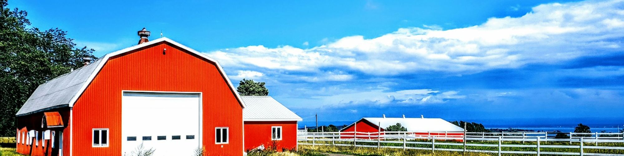 red and white barn house on brown grass field under blue sky during daytime
